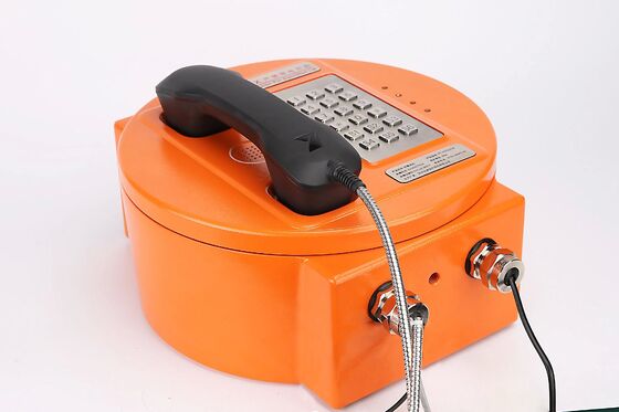 comprare Telefono a prova di esplosione con forte cancellazione del rumore grado di protezione IP66 e amplificatore incorporato da 30W per aree pericolose fabbricazione online