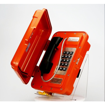 comprare Classe resistente IP65 di protezione del telefono di voice over ip della linea diretta dell'umidità fabbricazione online
